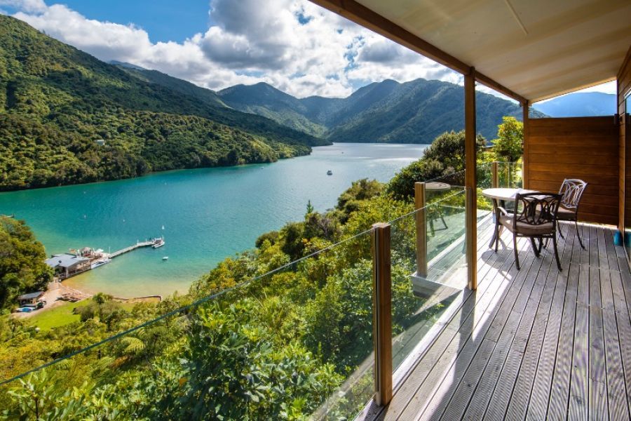 Albatross-suite-Punga-Cove
