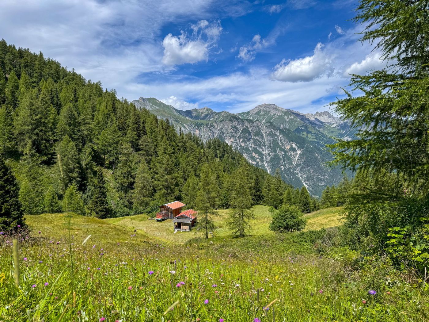 Alpine serenity among the meadows of Gschnitztal - supplied by Eurohike