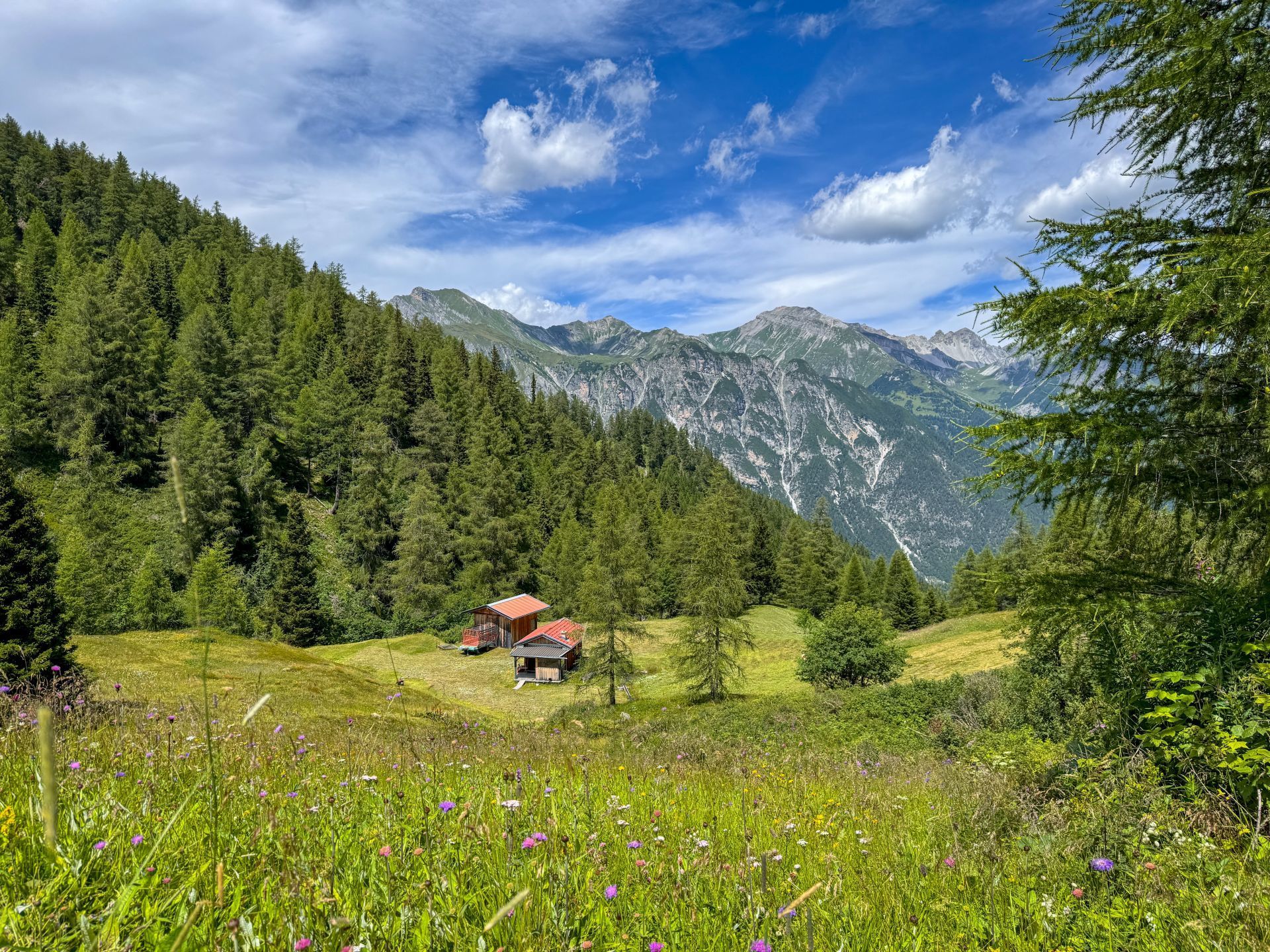 Alpine serenity among the meadows of Gschnitztal - supplied by Eurohike
