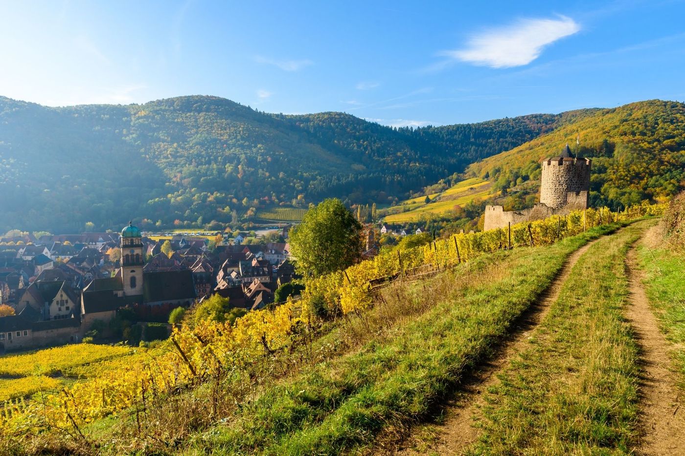 alking trail through golden autumn vineyards past a medieval castle tower above an Alsace village, France