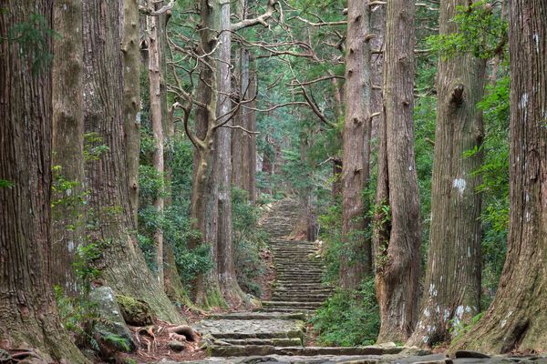 Ancient-Steps-of-Daimon-zaka-Kumano-Kod?
