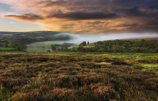 Autumn-Mist-in-Goathland-North-York-Moors