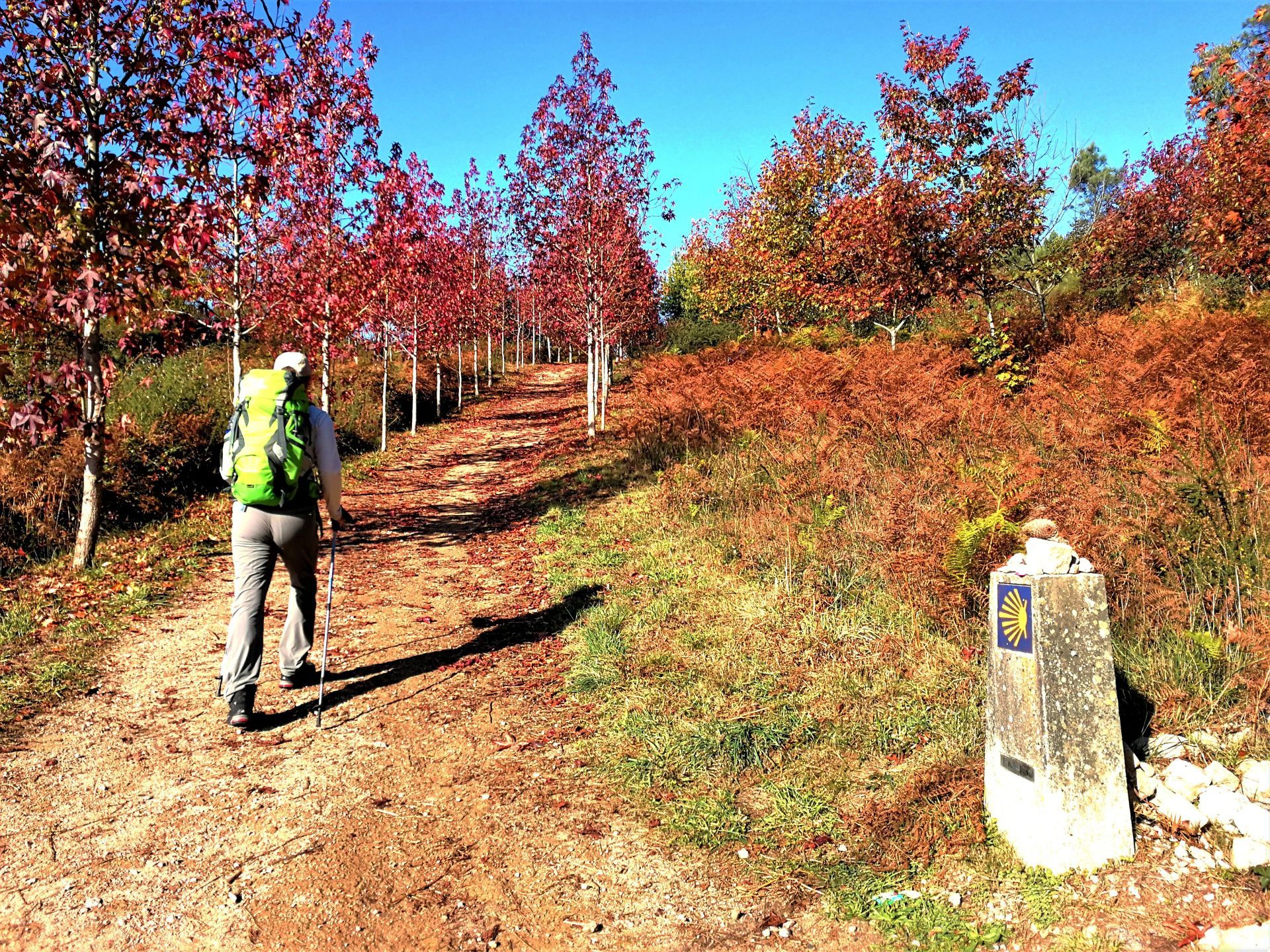 Autumnal-Hike-on-the-Camino