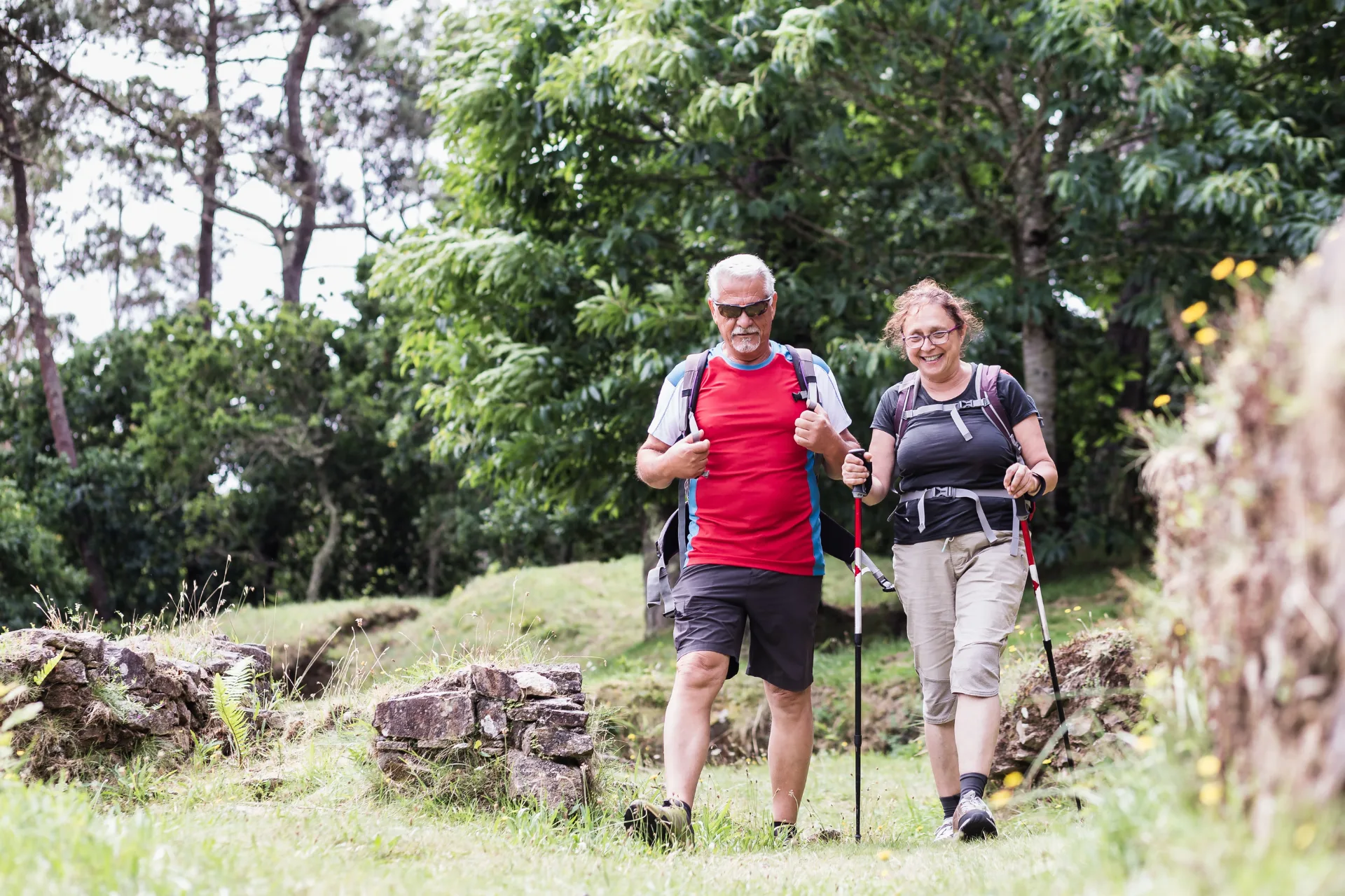 Camino Walkers 2