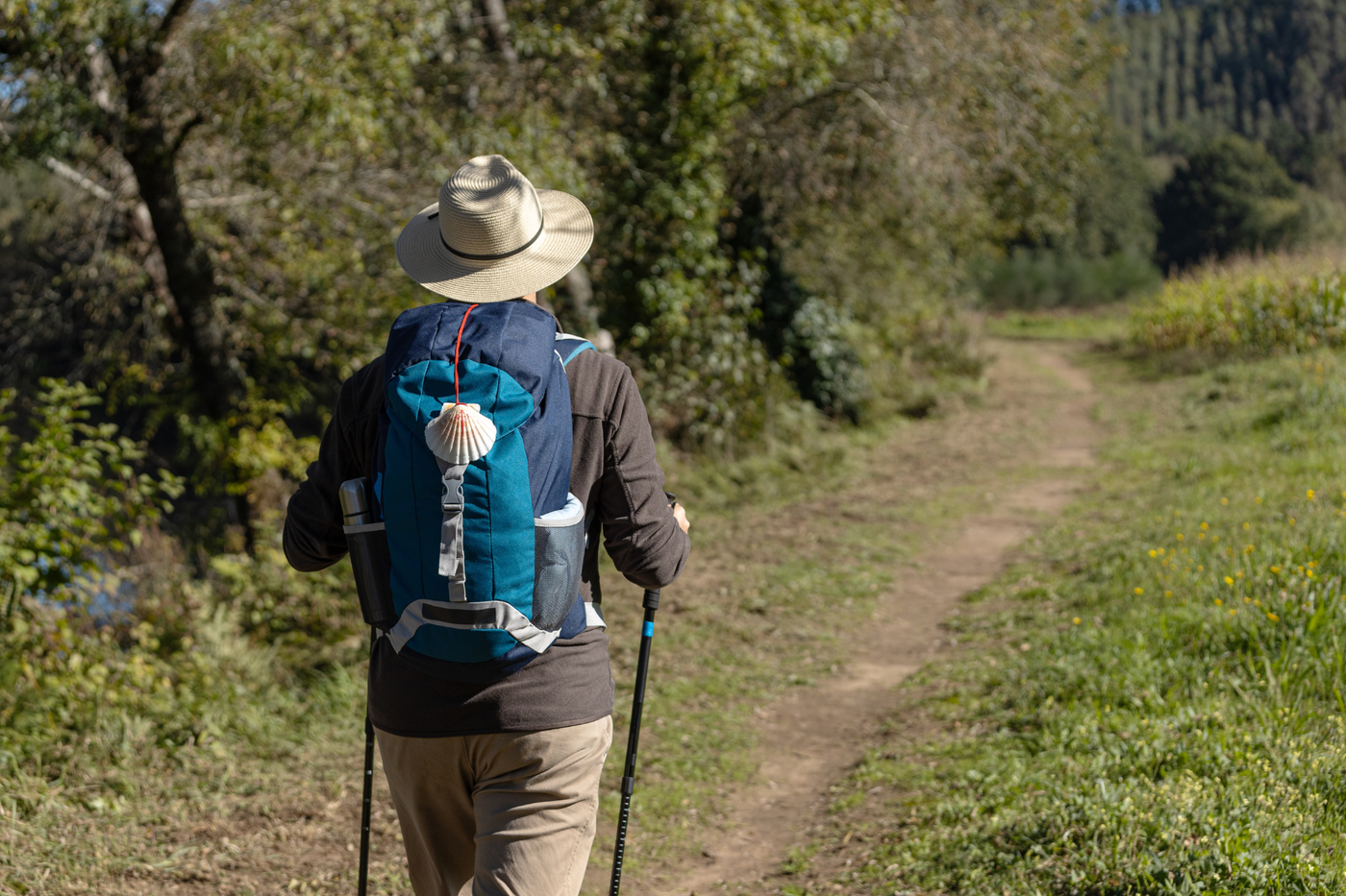 Camino walkers
