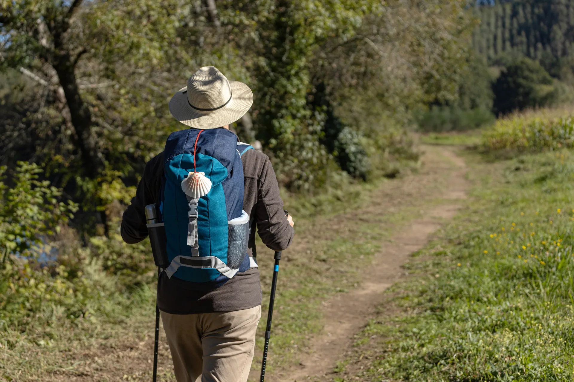 Camino Frances: Leon to Santiago -17 Days