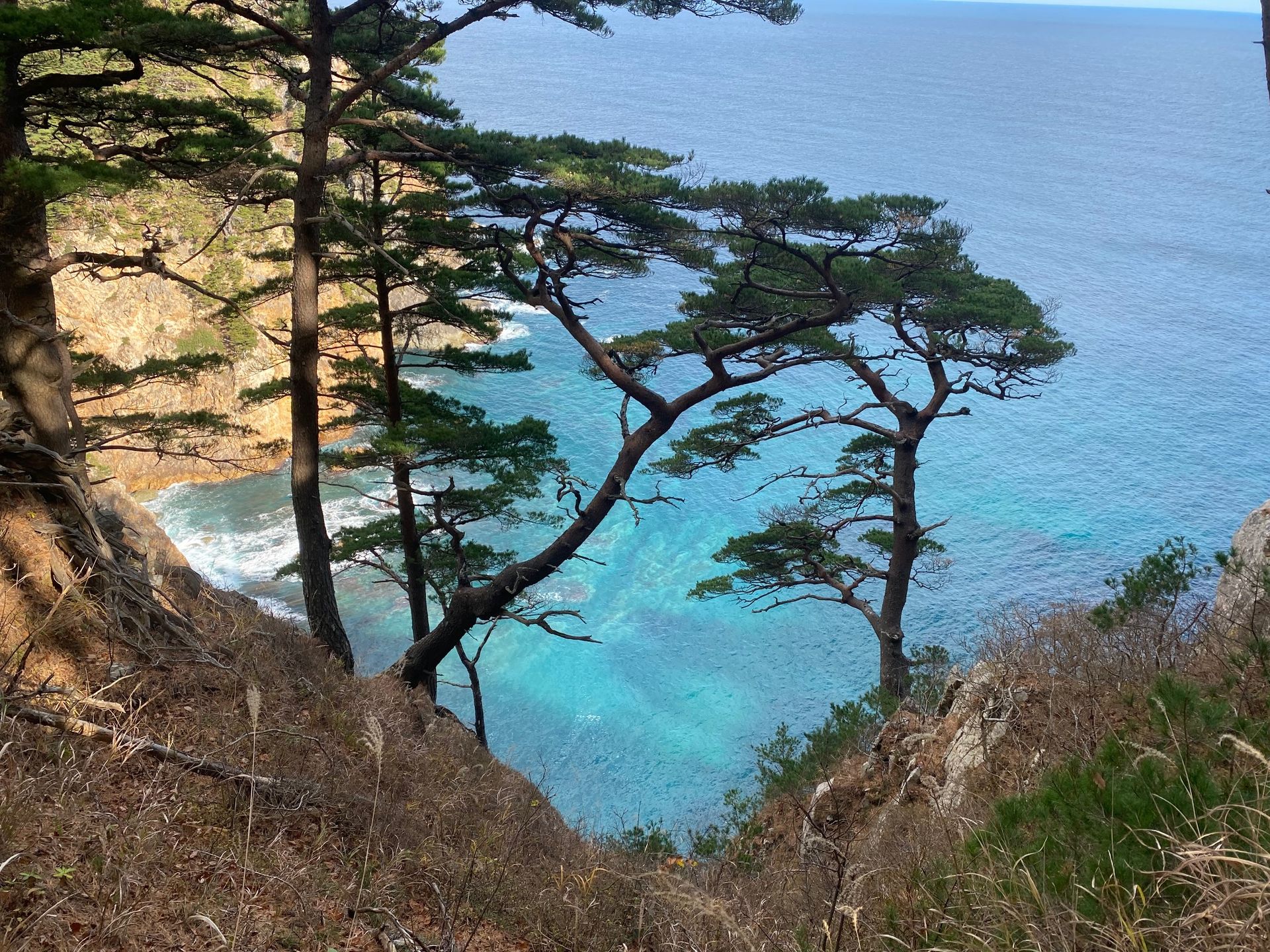 Michinoku Coastal Trail - 6 days