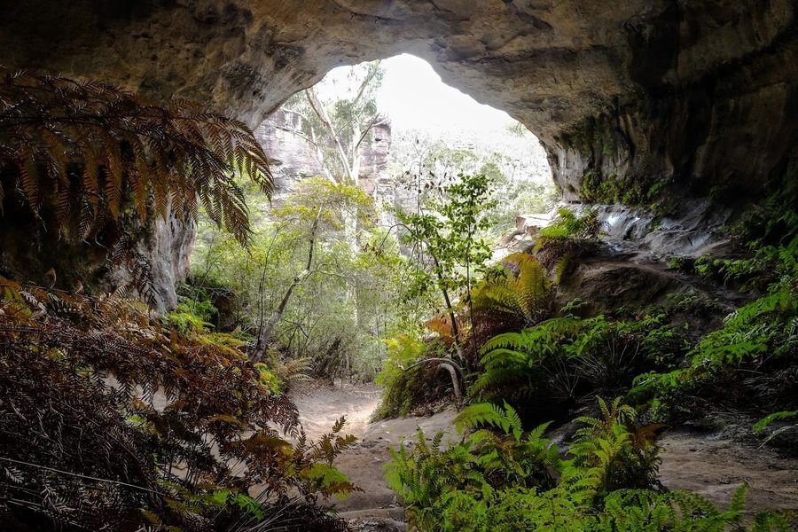 Cox's Cave