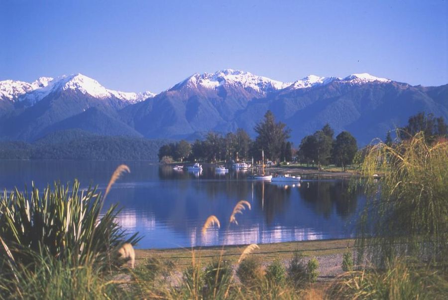 Distinction te anau 3