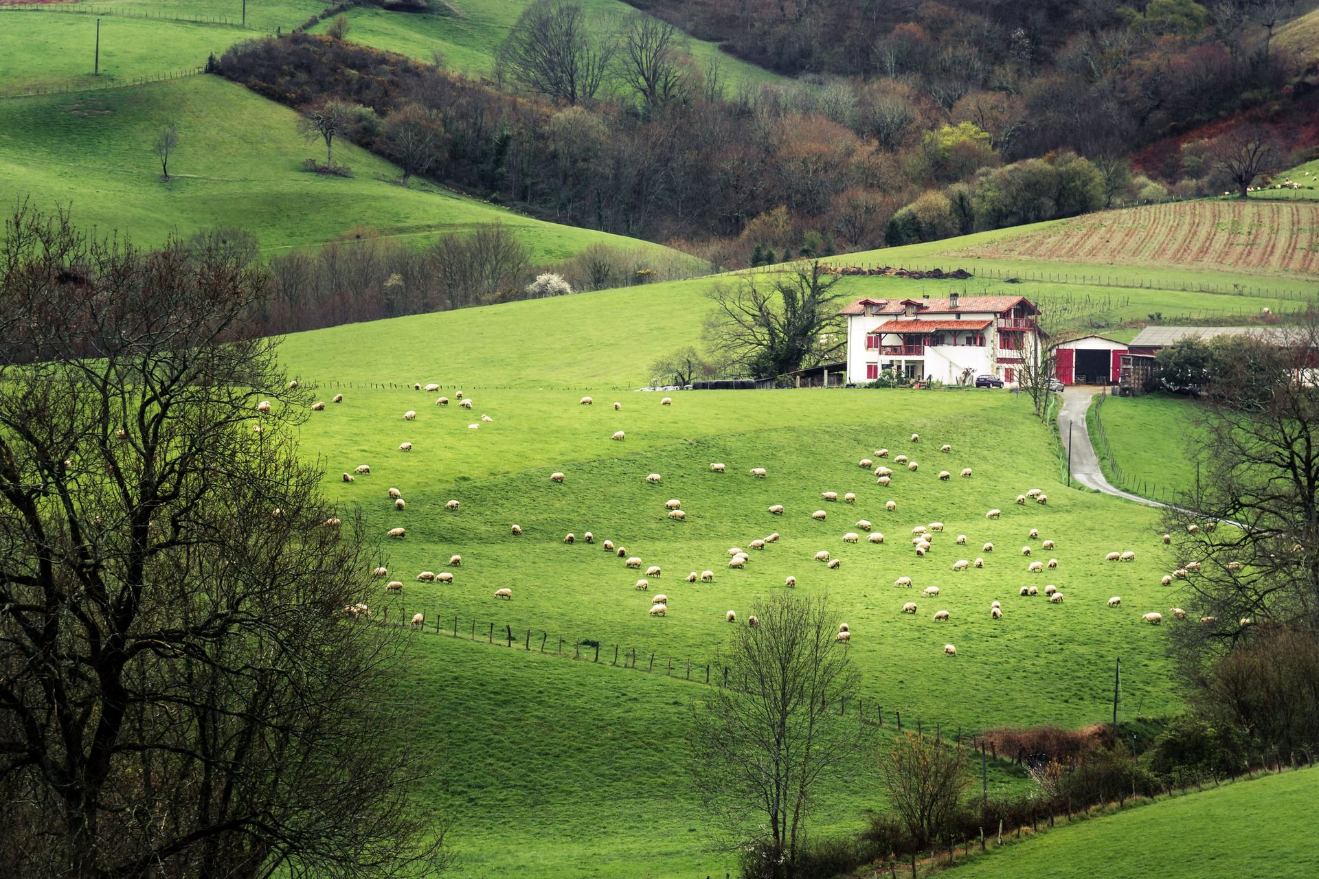 Farmhouse,In,The,French,Basque,Country