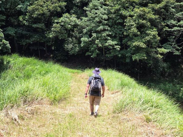 Hiker descending from a dense forest in Kunisaki peninsula