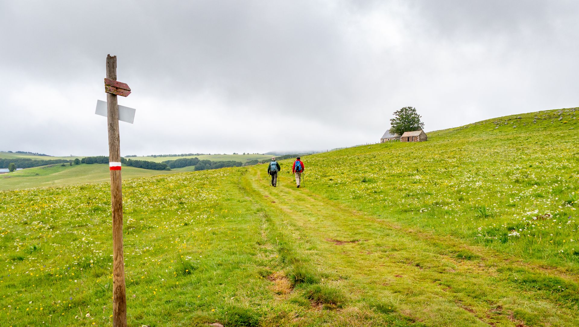 Hikers-on-a-Grassy-Trail-with-Distant-Farmhouse