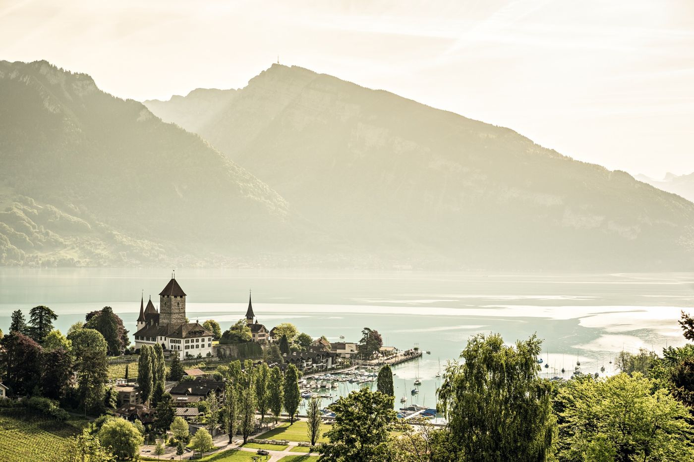 Historic Spiez Castle and its marina along the calm waters of Lake Thun - supplied by Eurotrek