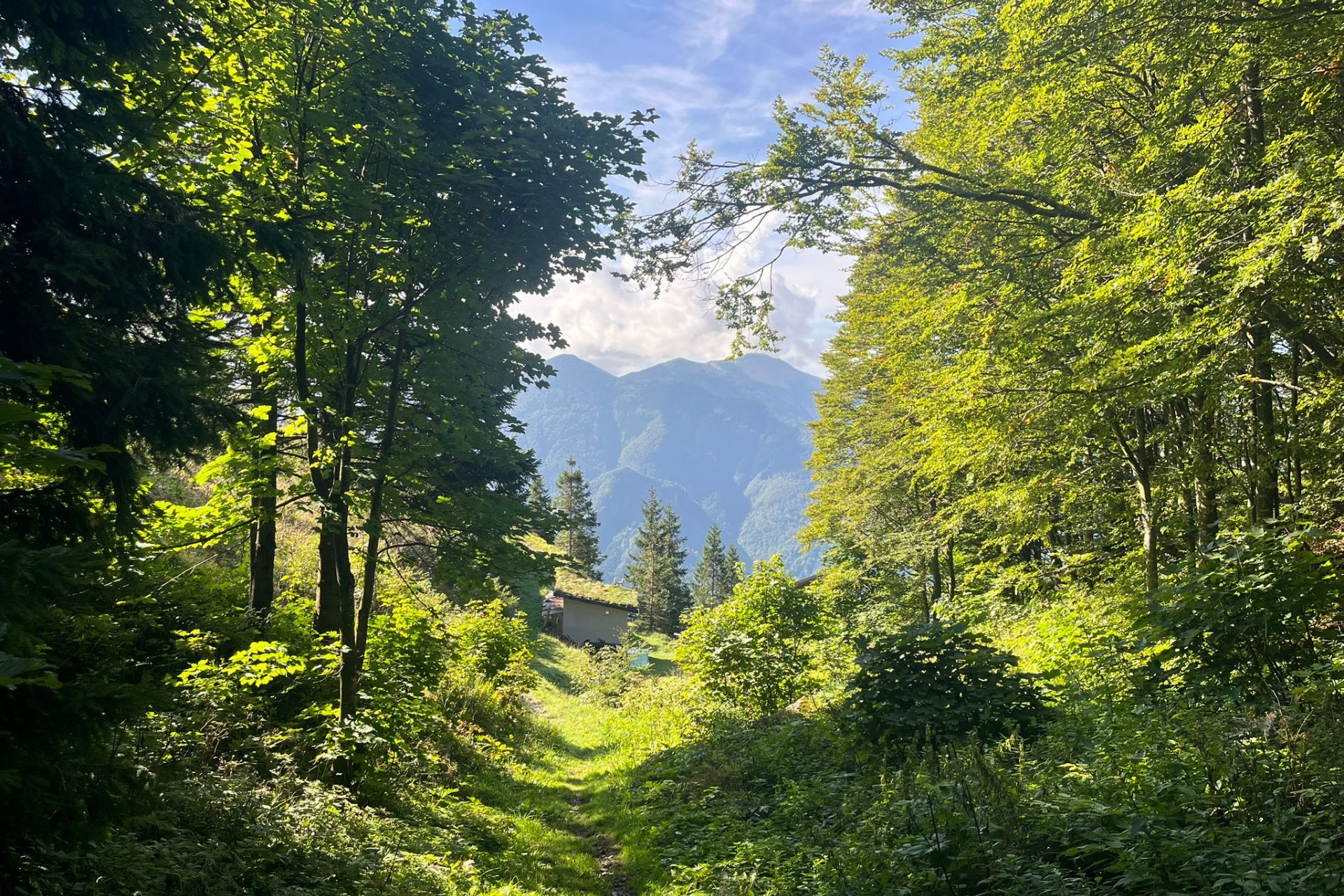 Julian Alps