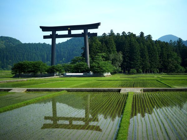 Kumano-Hongu-Taisha-Otorii-Gate-Amidst-Lush-Fields
