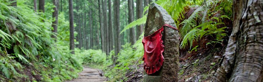 Kumano-Kodo-Nakahechi