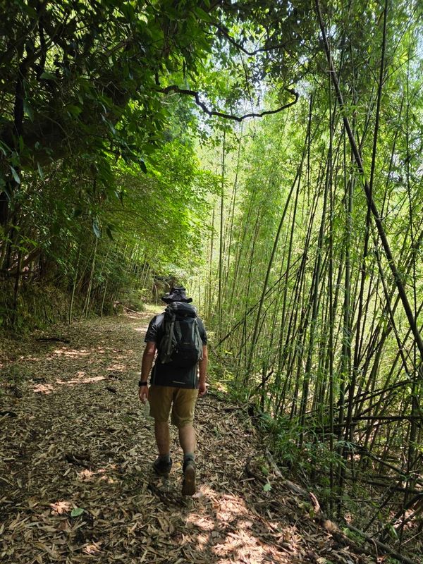 Kunisaki Peninsula trail - D2