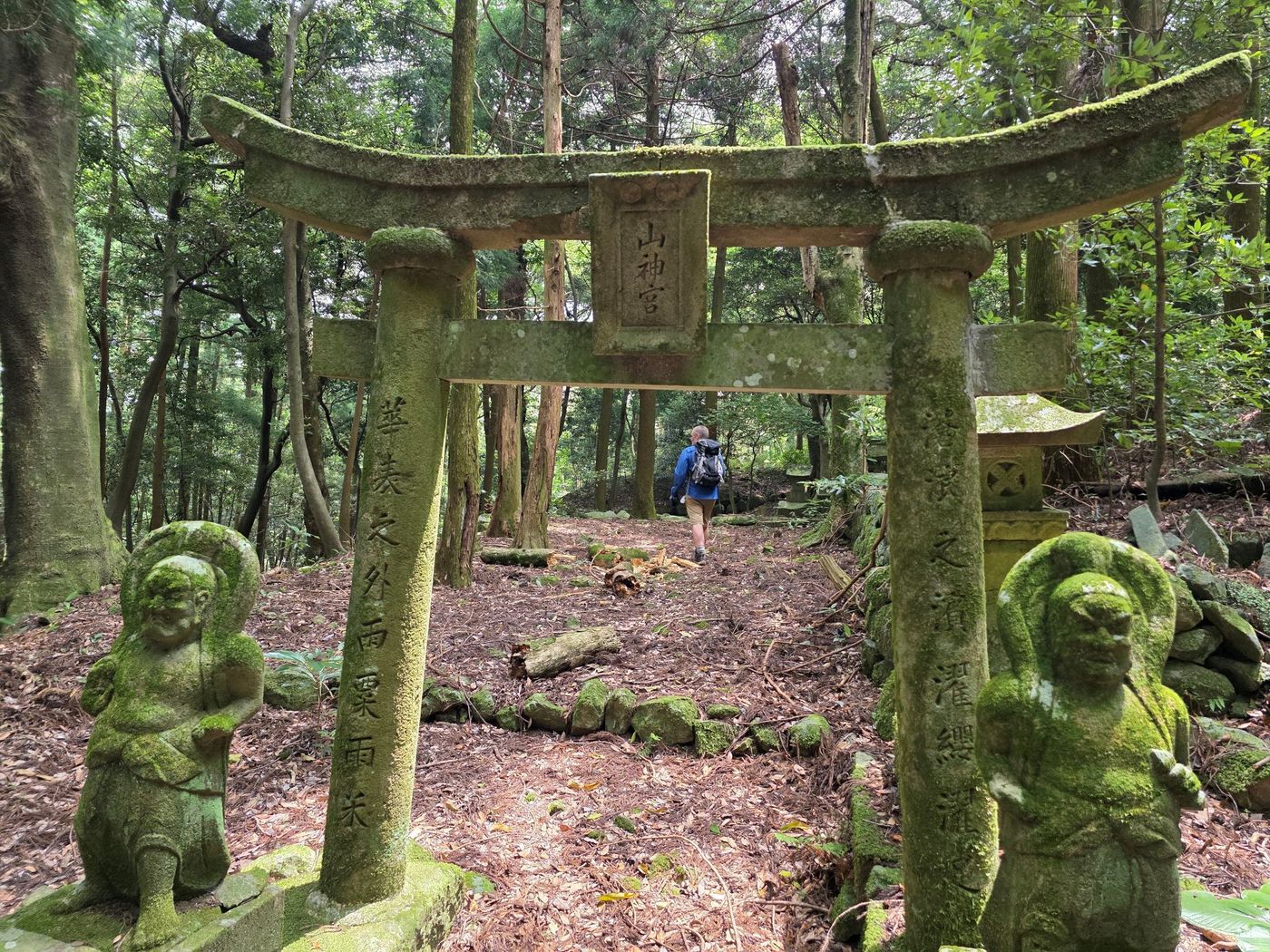 Kunisaki walk at the torii gate
