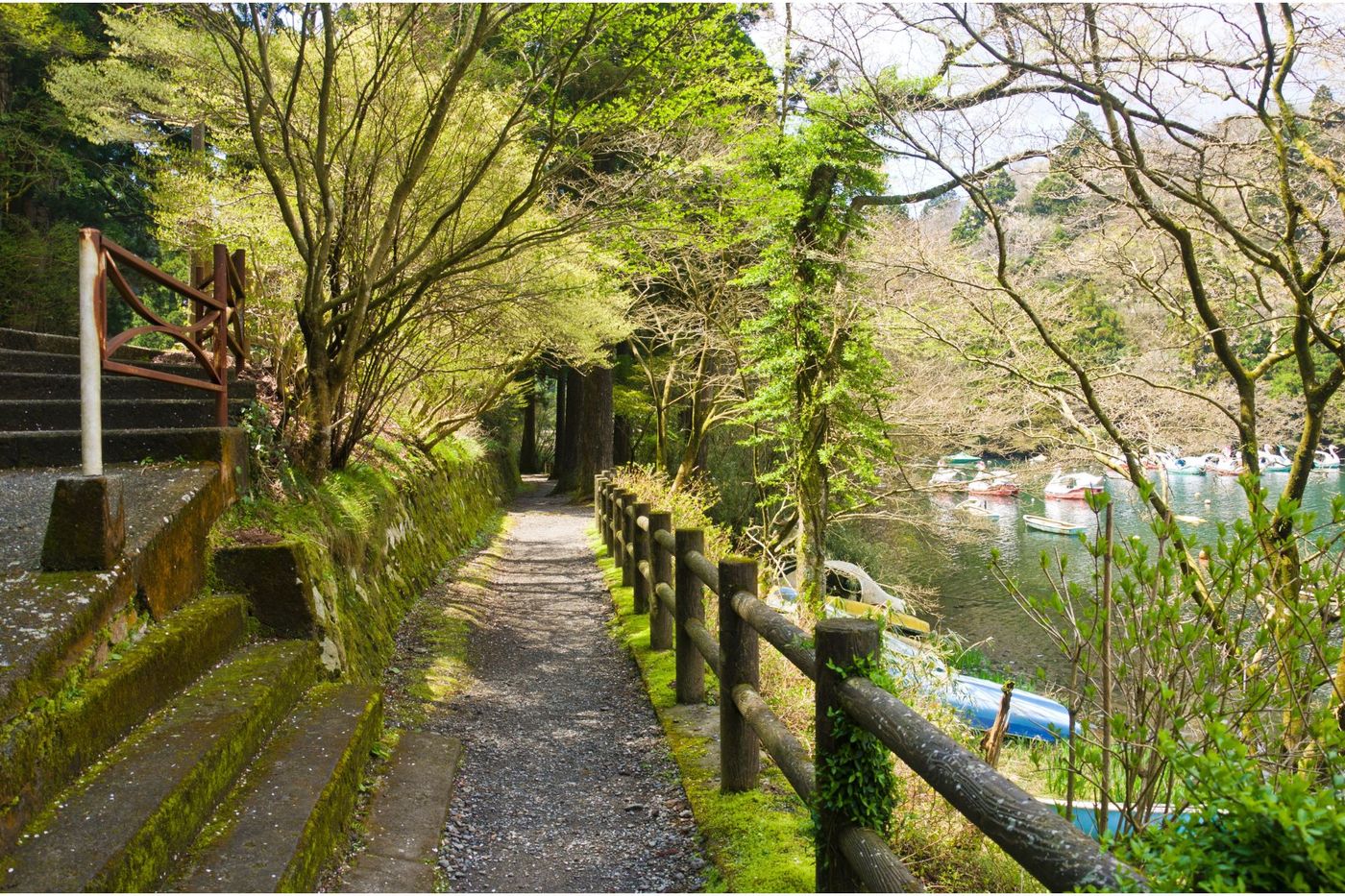 Nature trails around Lake Ashi in Hakone town, Japan from Shutterstock