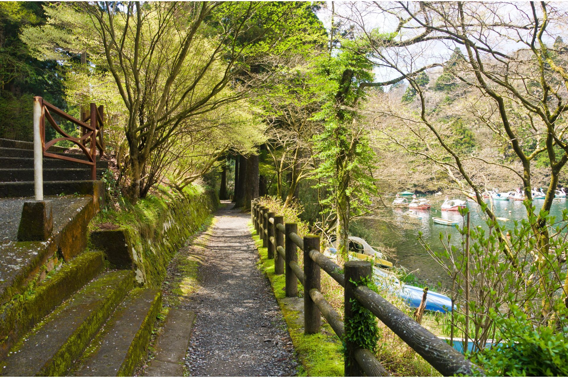 Nature trails around Lake Ashi in Hakone town, Japan from Shutterstock
