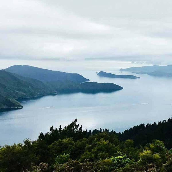 Queen Charlotte Track heading to Cowshed