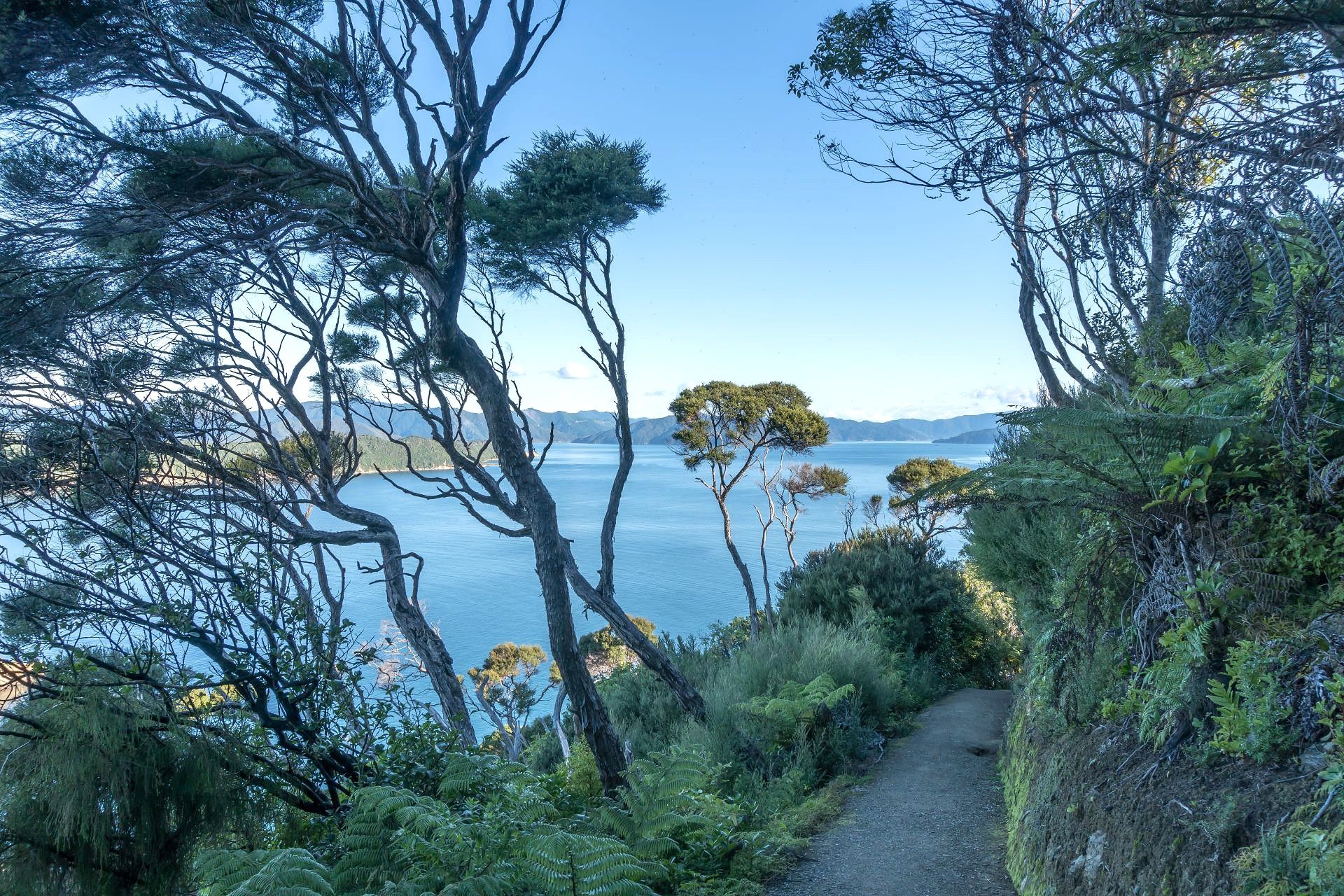 Panoramic-View-of-Marlborough-Sounds-Coastline