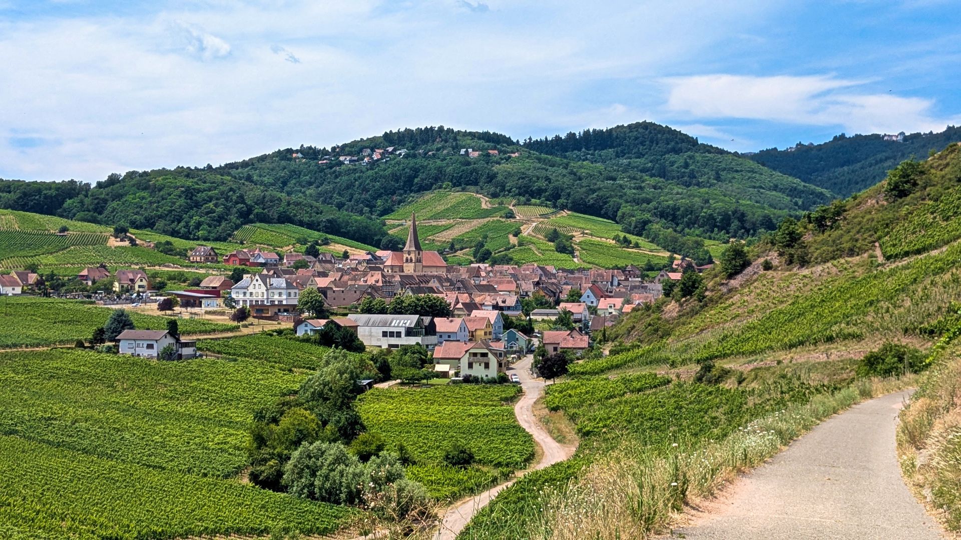 Panoramic view of Ribeauvillé to Kaysersberg route