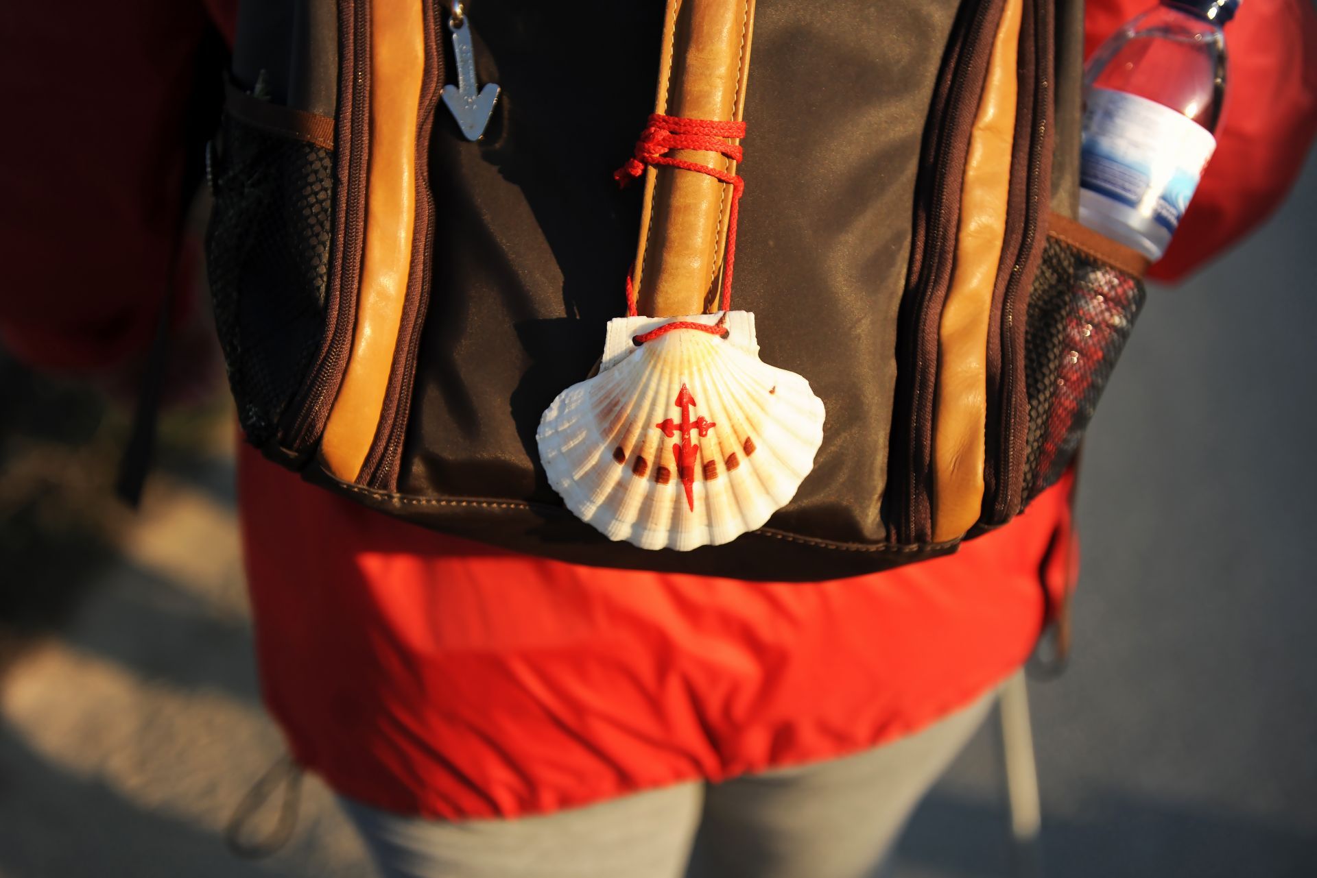 Portuguese Easy Camino from Tui - 11 Days