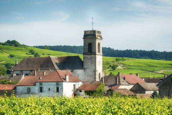 Pommard, Burgundy France