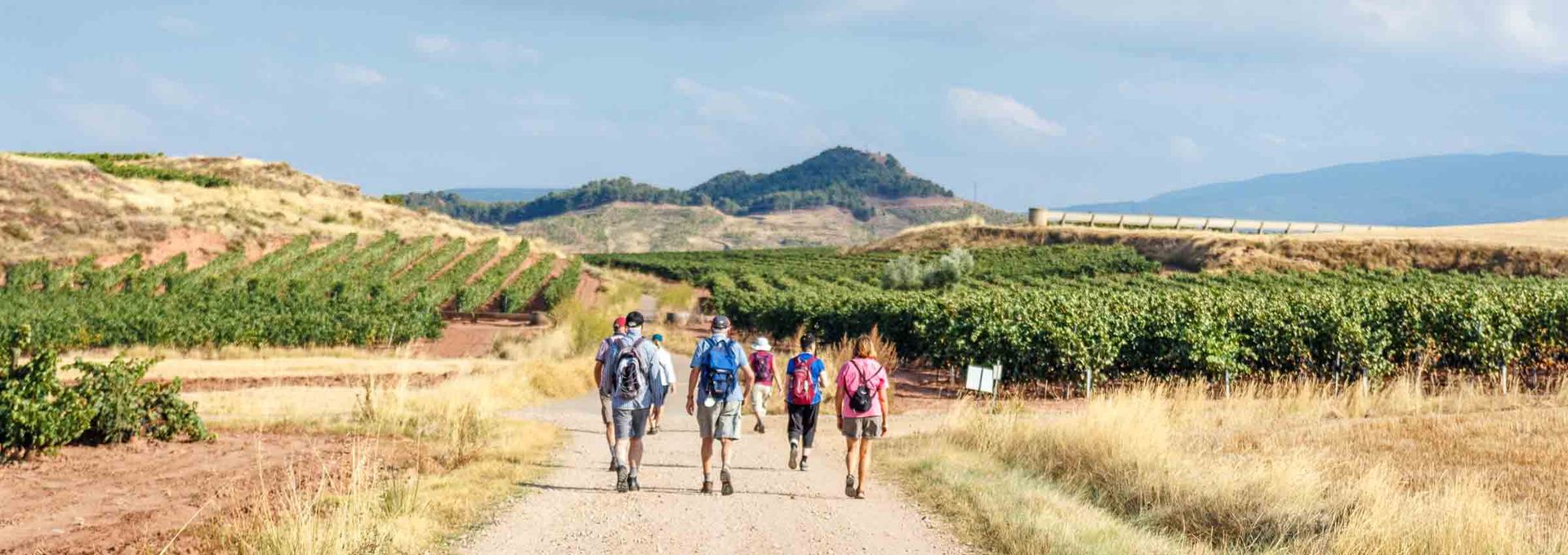Camino Frances: The Full Route - 40 Days