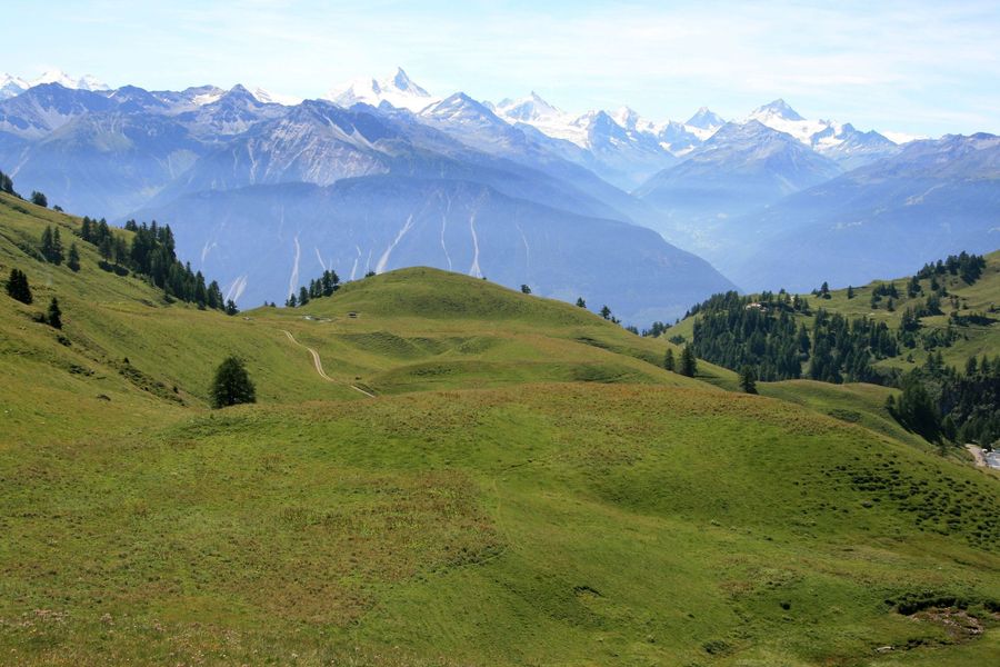Rolling green pastures and alpine meadows in the Crans-Montana region of Switzerland.