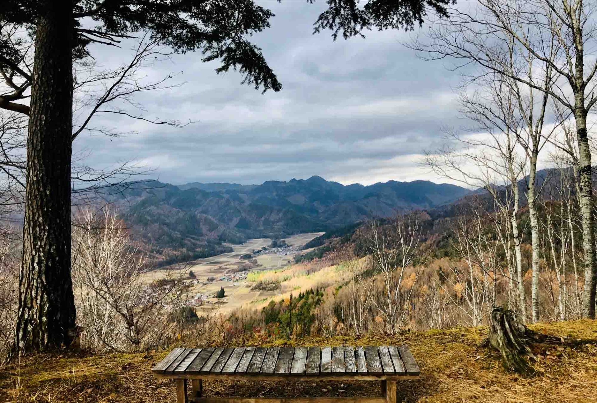 Rustic-bench-in-Shiroyama-views-Nakasendo
