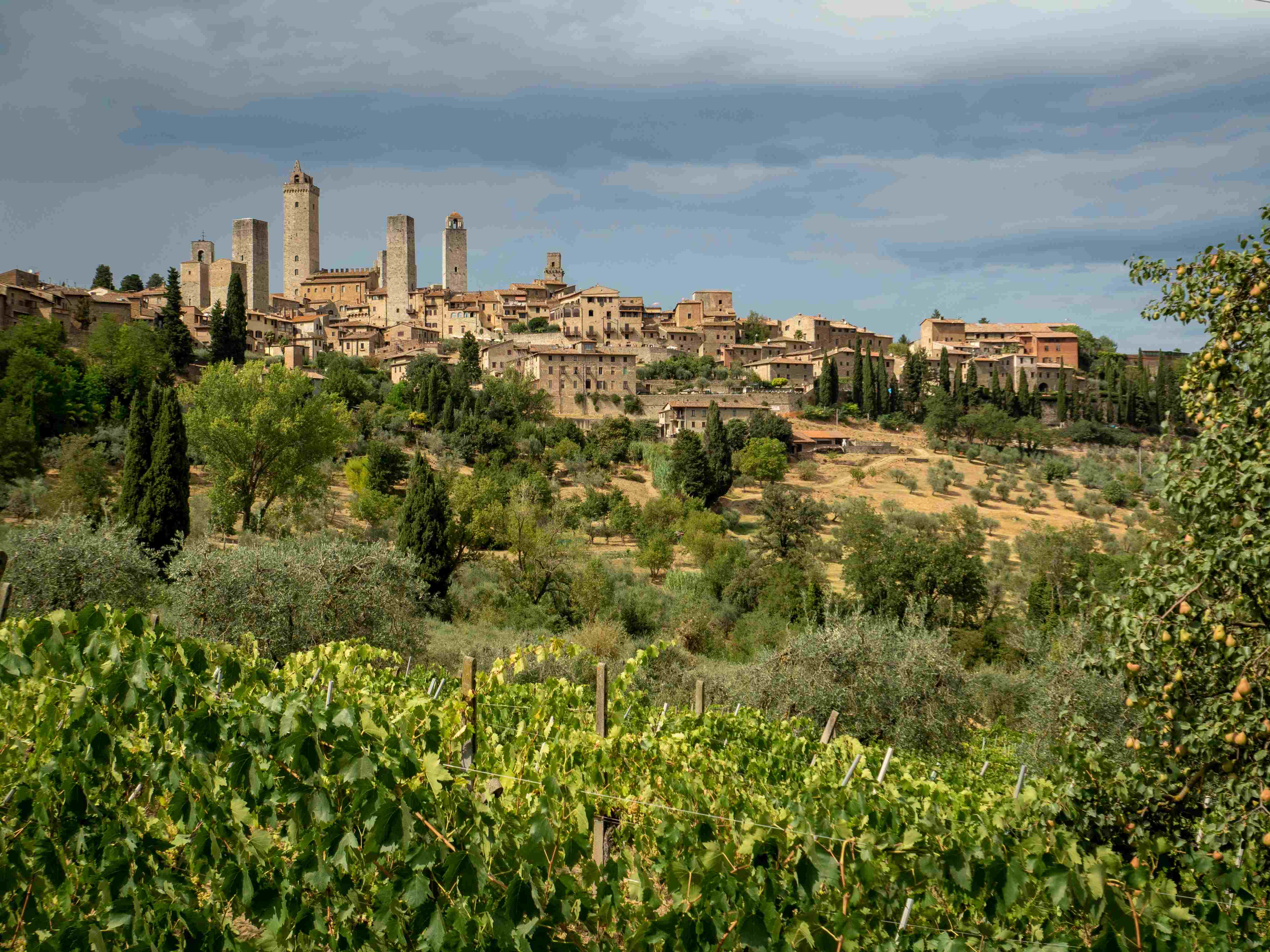 Via Francigena Camino Italy: San Miniato Alto to Buonconvento - 9 Days
