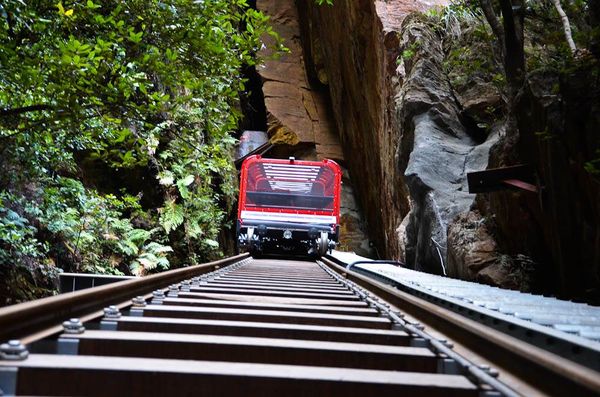 Scenic Railway