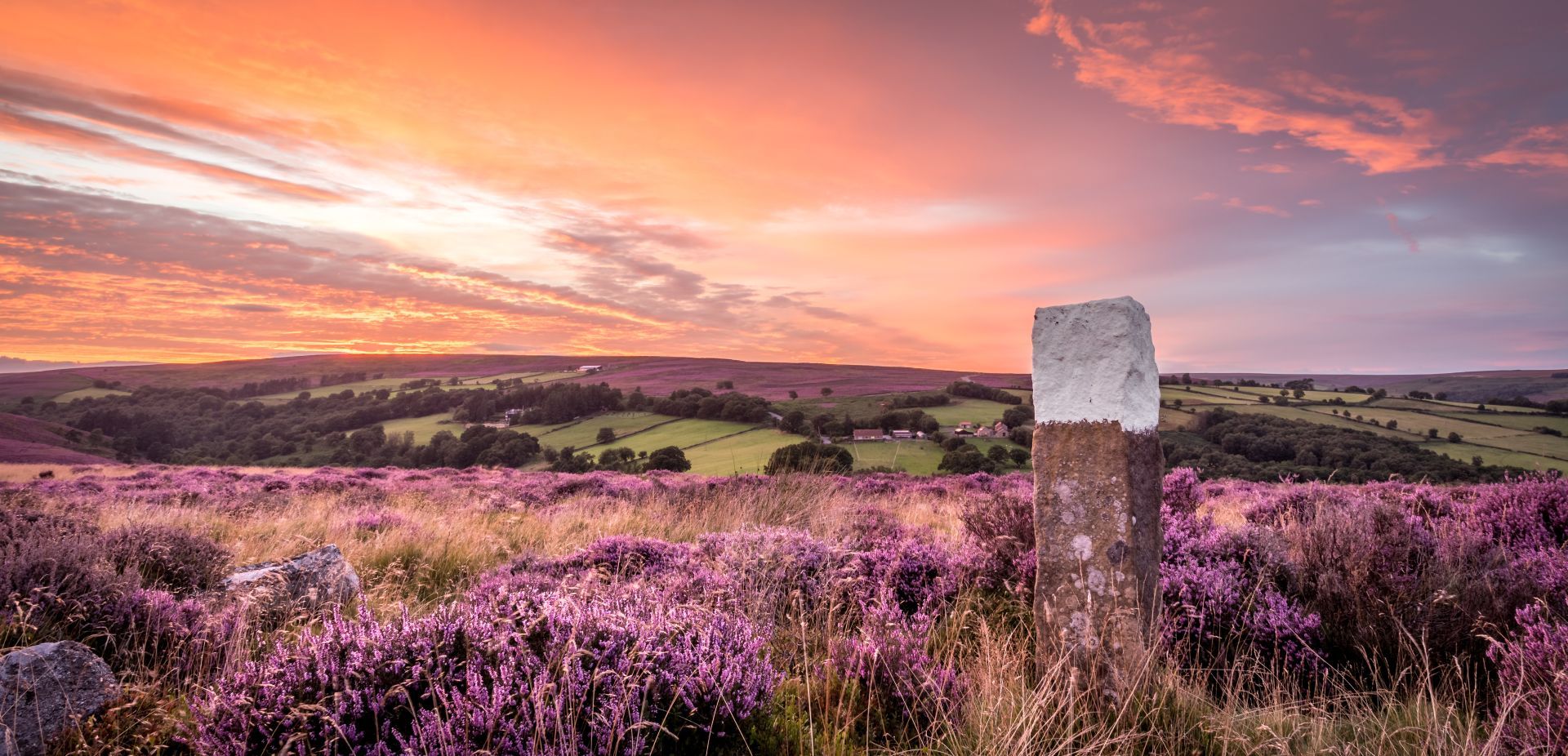 Sunset-over-Purple-Heather-in-the-North-Yorkshire-Moors-National-Park