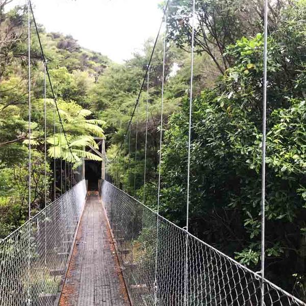 Suspension-bridge-on-the-Queen-Charlotte-walk