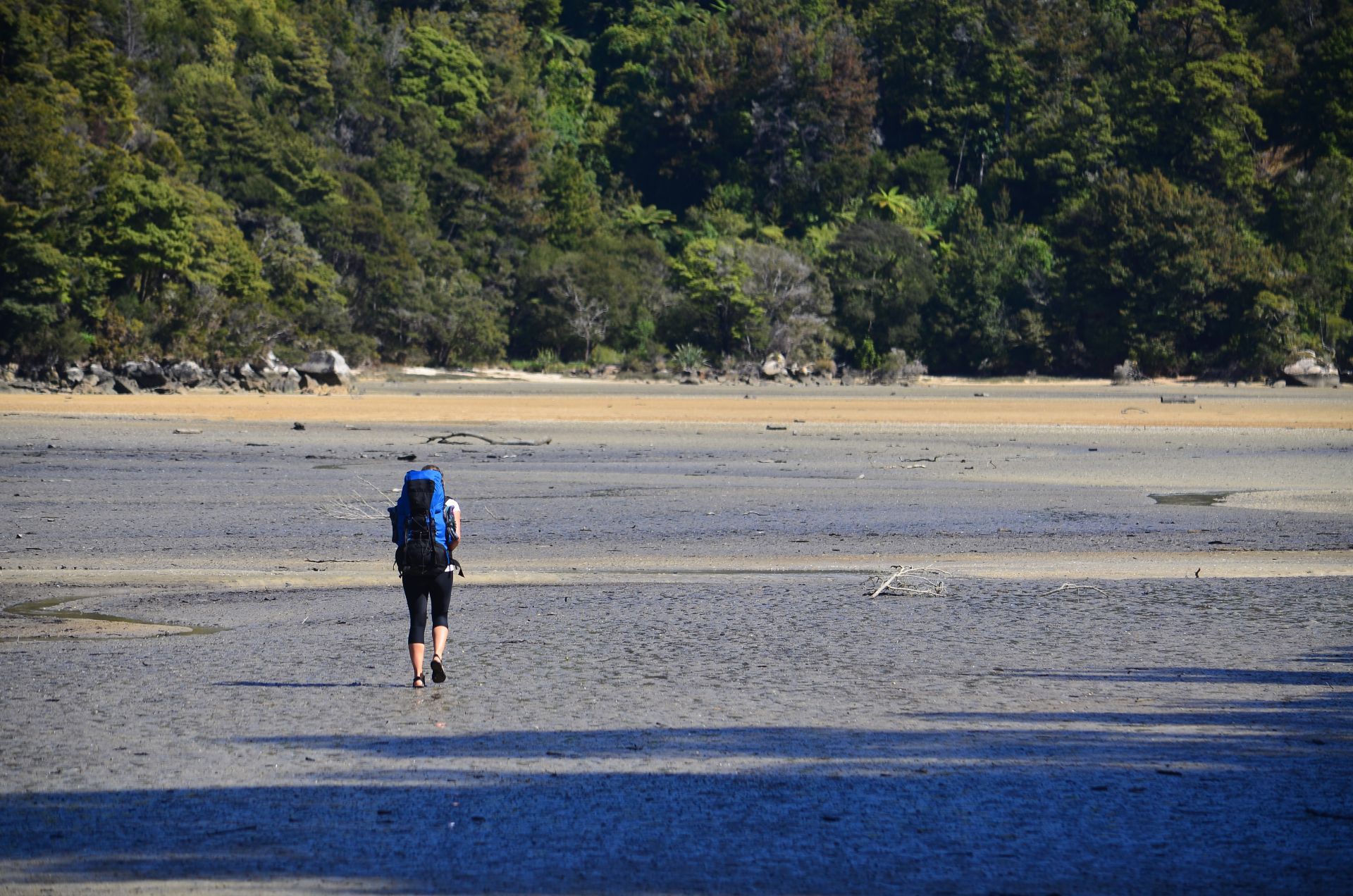 Trekking-Across-the-Torrent-Bay-Estuary-Abel-Tasman