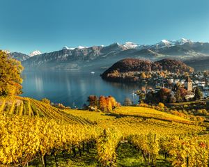 Lakeside Trails of Lake Thun & Interlaken – 6 Days