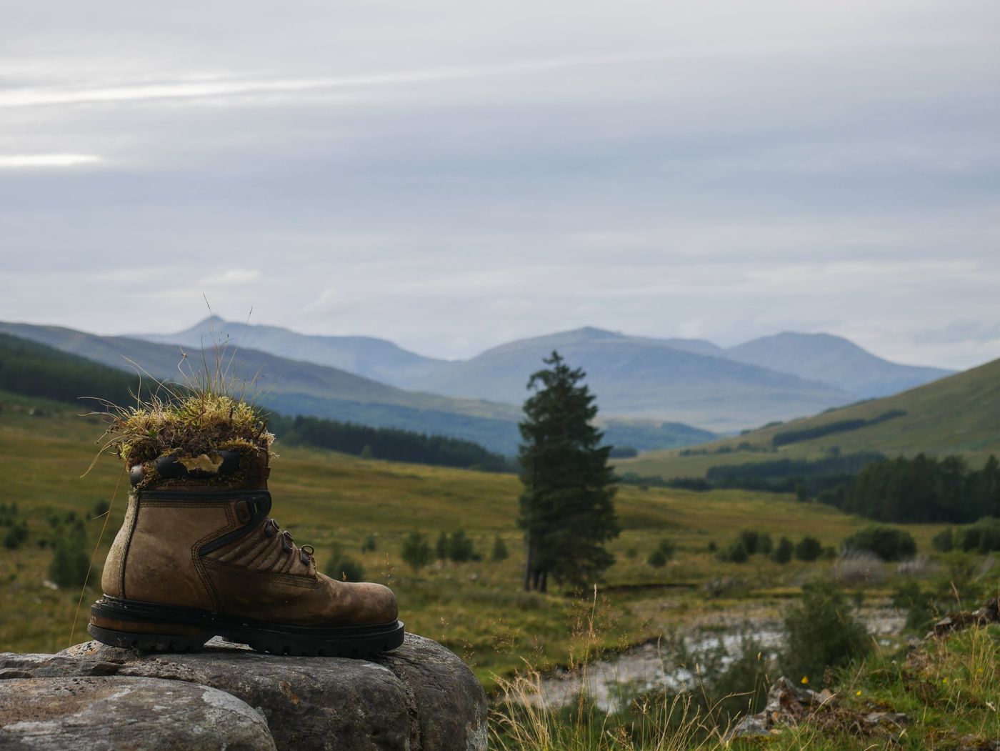 Rolling hills of the West Highland Way