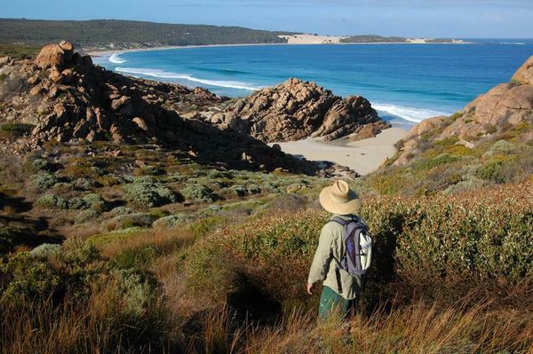 Walker on the Cape to Cape track