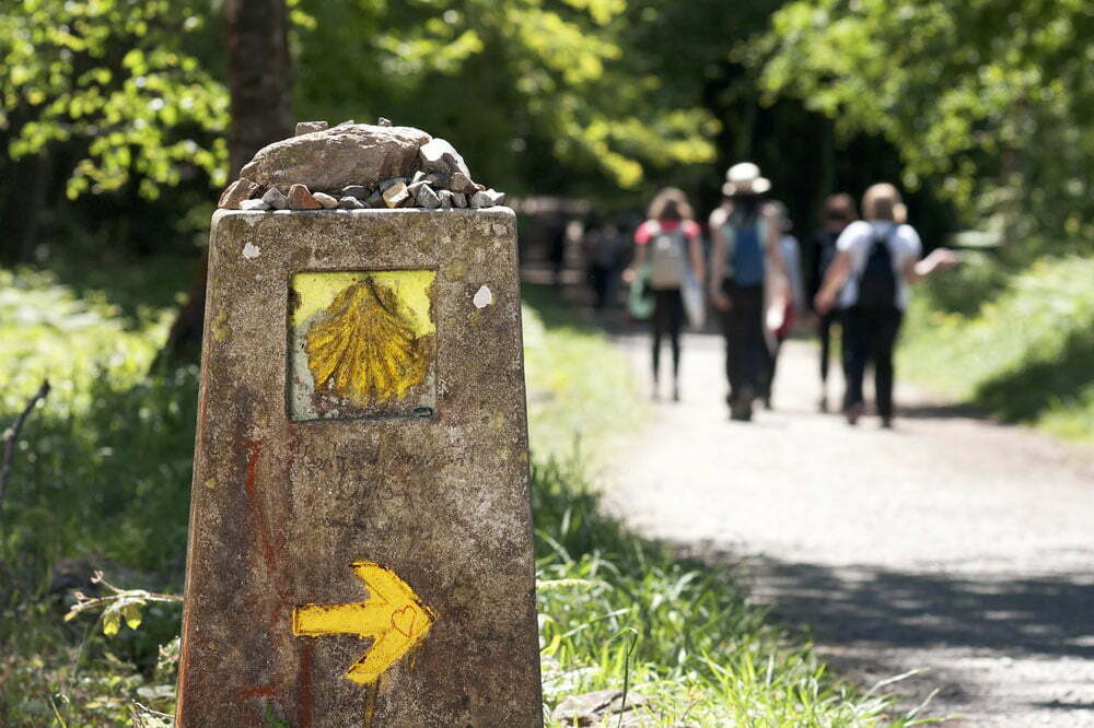 Easy Camino: Final Stage from Sarria to Santiago - 13 Days