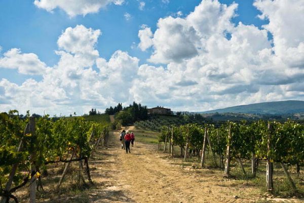 florence to siena